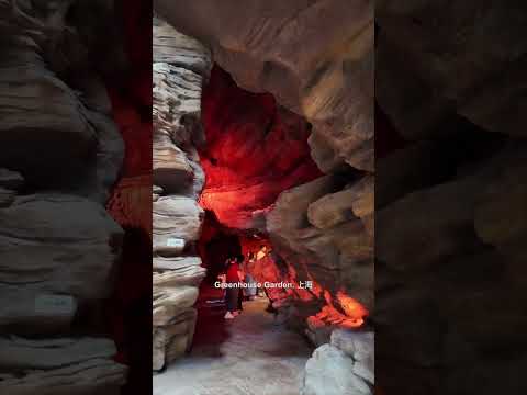 SHANGHAI 🤍 TOUJOURS UNE SURPRISE