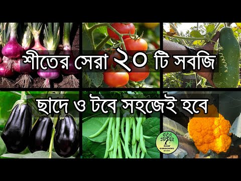 টবে করার মত শীতের সেরা ২০ টি সবজি / Best 20 winter vegetables easy to grow in pot / roof gardening