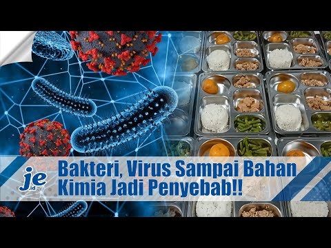 Menkes Beberkan Penyebab Keracunan MBG: Mulai Dari Bakteri, Virus Sampai Bahan Kimia