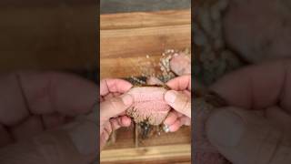 Stop Grilling Your Tri-Tip! Try THIS. 🔥 #bbq