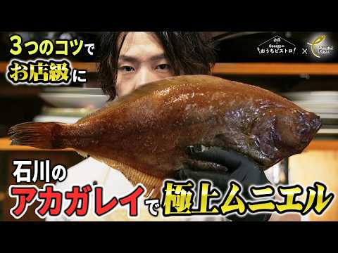 【普通のムニエルに戻れない】3つのコツで石川のアカガレイをお店級の極上つまみに