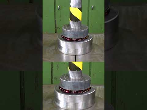 Awkward Butternut Squash Faces 150 Ton Hydraulic Press! 😆💥 #hydraulicpress #squashcrush #satisfying