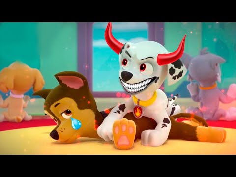 Paw Patrol on a Roll Ryder Rescue Mission Cartoon Fun Ep24 Nick Jr Hd