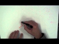 Understanding Cell Division