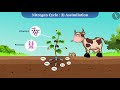Nitrogen Cycle and Eutrophication Concepts