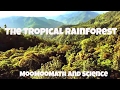 Tropical Rainforest Knowledge Assessment
