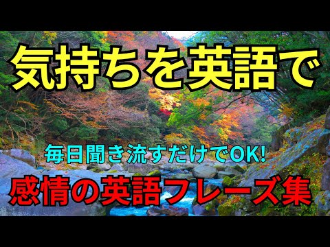 【完全版】気持ちを英語で伝える！感情表現フレーズ集｜寝ながら毎日聞き流すだけ｜驚くほど聞こえるように！BGM作業用