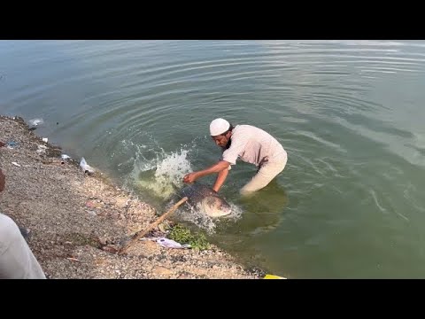 20kg big  katla fish catch with feeder | Hook fishing |feeder fishing |big fishing tips