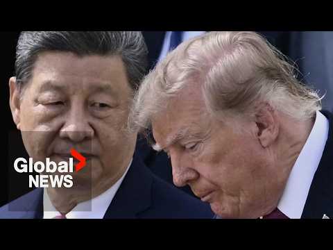 <strong>China</strong>, US <strong>have</strong> “capability and responsibility to develop and manage AI for good”: President Xi