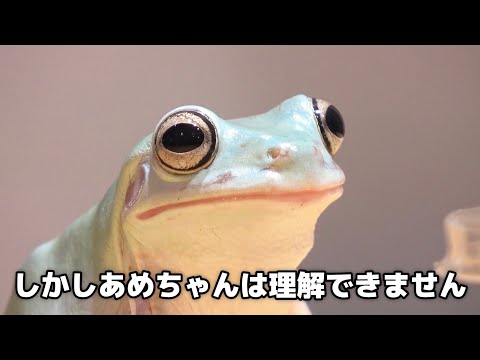 これが最後の動画になります【告知あり】