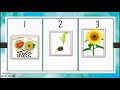 Exploring Sequencing Techniques