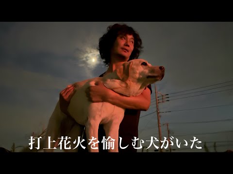 家族の誰よりも花火大会を愉しむ犬がいた