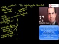 Watergate Scandal Key Events