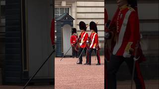Royal Guard Plays Dolly Parton’s “9 to 5” at Buckingham Palace 🇬🇧👑 | Emotional Tribute