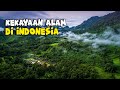 Indonesia's Natural Resources and Environment