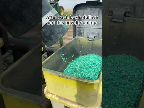 $15,000 every time we fill the planter #familyfarmlife #farming #farmlife #farm #agriculture #farmer