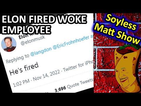 Twitter fired woke employee. Just a quick Soyless Matt News Update with Dame Pesos!