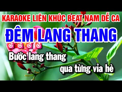 Karaoke Liên Khúc Nhạc Sống Tone Nam – Đêm Lang Thang