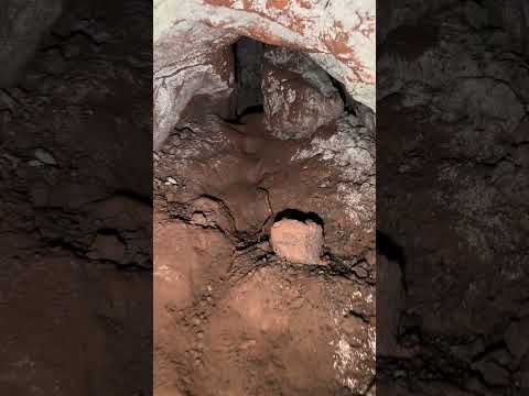 Isla del Coco😍 auf der berühmten Pirateninsel.