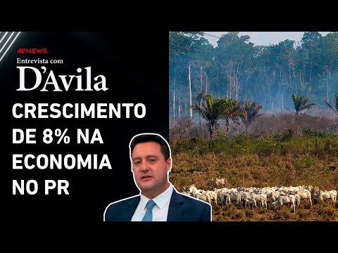 Ratinho Junior: "A base econômica do Brasil é o agronegócio" | ENTREVISTA COM D'AVILA