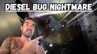 THIS IS WHAT THE INSIDE OF MY TANK LOOKS LIKE! - (Episode 354)