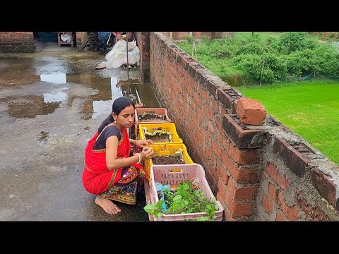 🌹जब मेरी तबीयत खराब हो तब मैं अपने घर को कैसे संभालती हूं😌अचानक मेरे घर मे सब बीमार पड़े middleclass