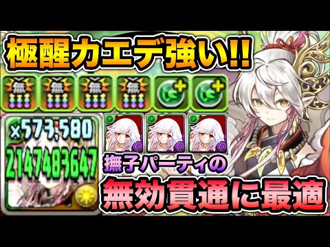 無効貫通4個持ちの極醒カエデが強いぞ！千石撫子パーティで大活躍！裏修羅の幻界で使ってみた！【スー☆パズドラ】