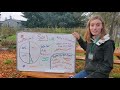 Soil Composition and Testing Concepts