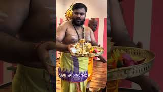 ஆடி அமாவாசை விரதம் #germany #கோவில்