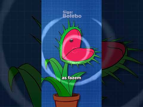 Essa PLANTA come ANIMAIS? 😟 #shorts