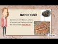 Fossils and Earth's History Concepts