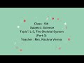 Human Muscular System Concepts