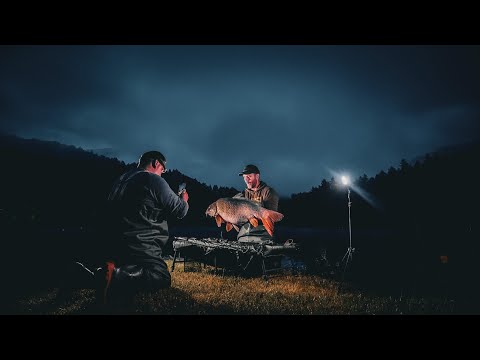 Rekordný kapor z VN Ružín - ReWik Fishing