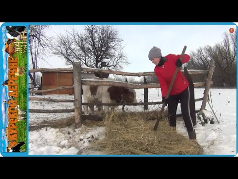 В деревню пришла зима, а мы как всегда не готовы