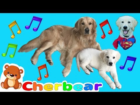 DOG SONG New KIDS SONGS Sing Along Fun with Our Super Dog and Our Super Girl Puppy