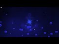 Video Tutorial Quiz