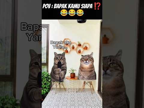 #meme #cat #kucing #funny #fypシ