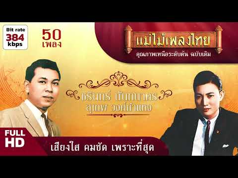 รวมเพลงชุด เพลงรักวันหวาน ชรินทร์-สุเทพ 50 เพลง #แม่ไม้เพลงไทย #เพลงต้นฉบับ