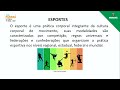Esportes e sua Importância Cultural