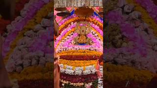 Jay shree shyam baba 🙏🏻 #vairal #shyam #shyamdarshan  #shreekhatushyam #shortvideo #jaishreeshyam