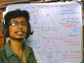 Natural Selection and Its Types