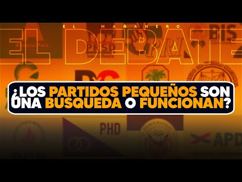 Los partidos pequeños son una Busqueda o Funcionan? - El Debate