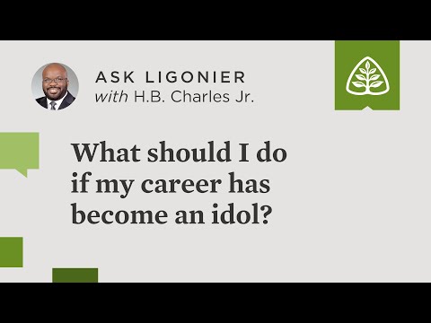 What should I do if my career has become an idol?