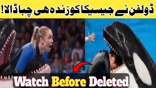 Jessica Dolphin Viral Video | Dolphin Eat Jessica Full Video | Dolphin Wali Video 