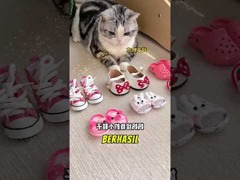 Sandal oreo cantik banget 😻