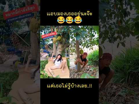 อ้ายบ่อยากเชื่อสายตา..!! ว่าภาพตรงหน้าสิเป็นความจริง #ตลก #ตลกขบขัน #ตลกฮาฮา