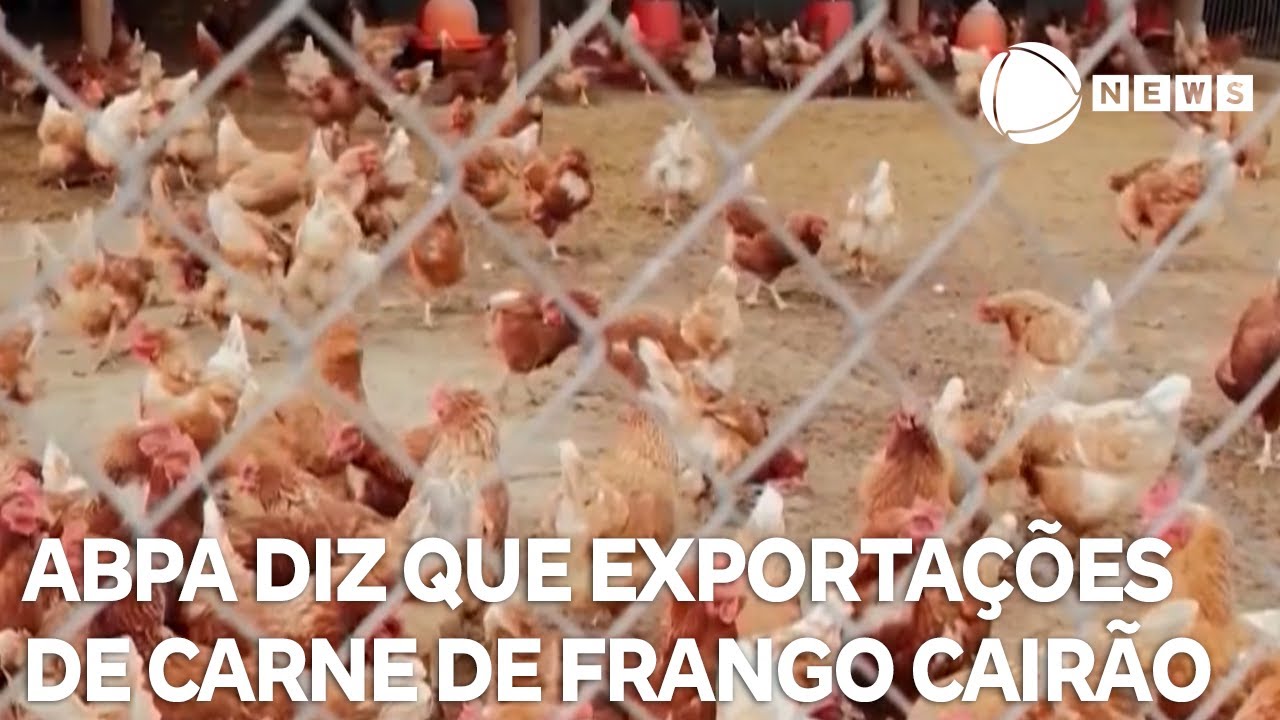 ABPA diz que exportações de carne de frango brasileira cairão em 2025