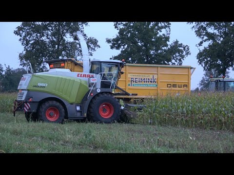 Loonbedrijf Reimink met hun 2e Claas Jaguar 950 aan het mais hakselen (2024)