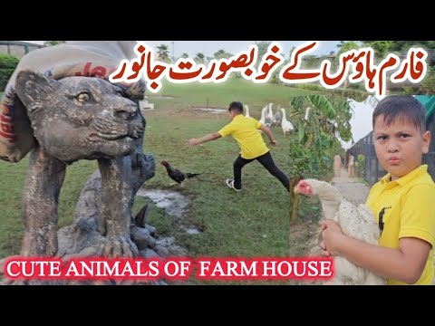 Cute Animals in Farmhouse | Visit of Farmhouse | Azan Butt Tiger #animals #nationalgeographic