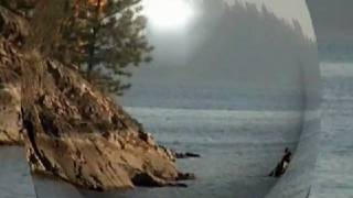 Tressal Creek Fall Time and Universal Round Up